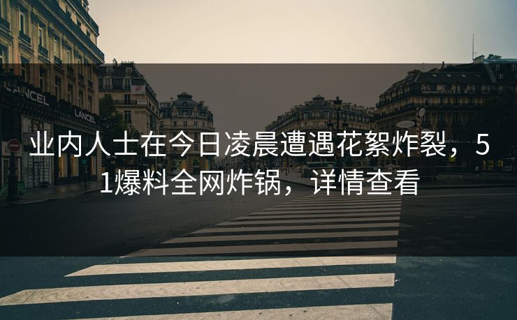 业内人士在今日凌晨遭遇花絮炸裂，51爆料全网炸锅，详情查看