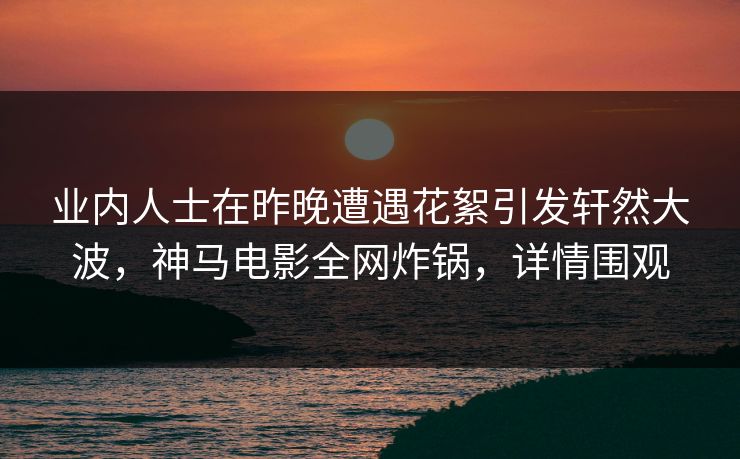 业内人士在昨晚遭遇花絮引发轩然大波，神马电影全网炸锅，详情围观