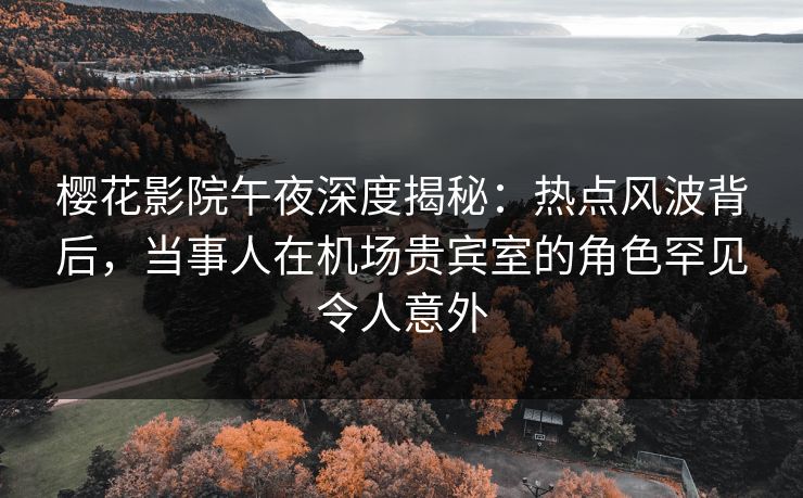 樱花影院午夜深度揭秘：热点风波背后，当事人在机场贵宾室的角色罕见令人意外