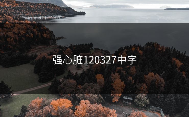 强心脏120327中字